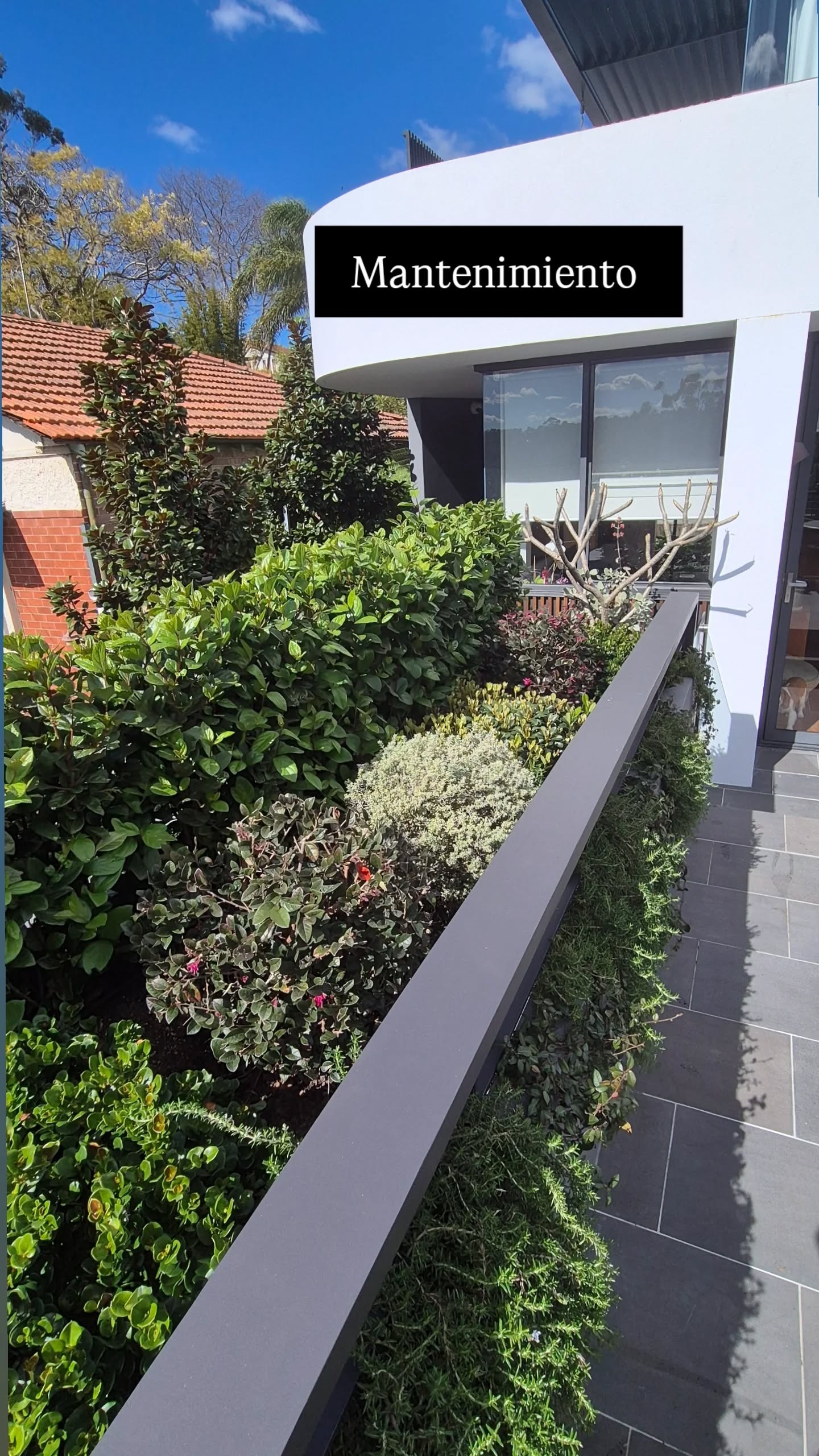 Mantenimiento de jardín en terraza junto a la fachada